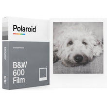 Load image into Gallery viewer, Polaroid B&amp;W 600 Film