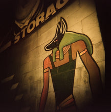 将图片加载到图库查看器，Holga 120GCFN Camera - Black